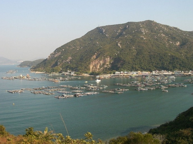 naidunia_image